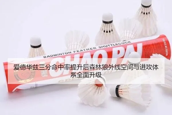 爱德华兹三分命中率提升后森林狼外线空间与进攻体系全面升级